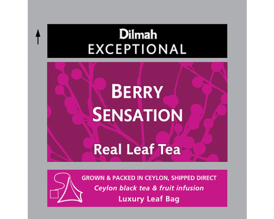 DILMAH 50/2g/4 Exc. Berry Sensation env.tbag